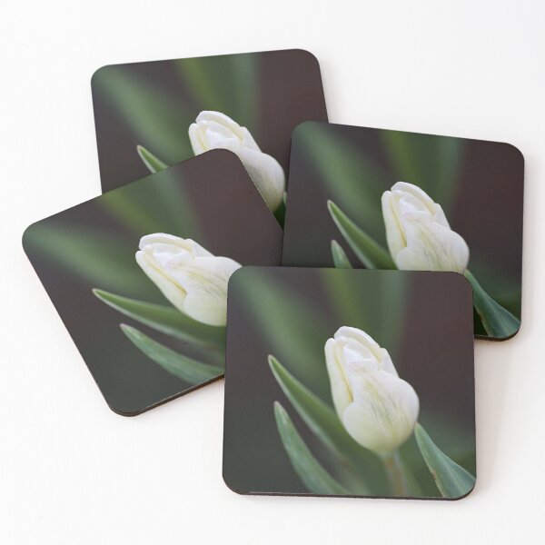 Item preview, The Delicate White Tulip Bud designed and sold by Joy Watson - Natural Light Photography .
