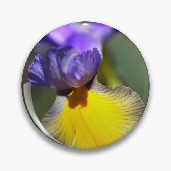 Item preview, Dancing With Iris designed and sold by Joy Watson - Natural Light Photography .