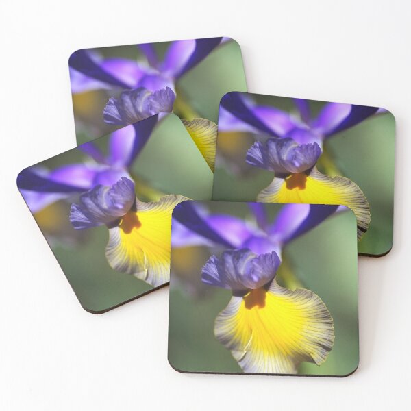 Item preview, Dancing With Iris designed and sold by Joy Watson - Natural Light Photography .
