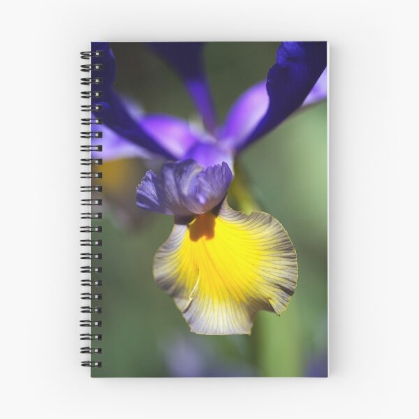 Artikelvorschau, Tanzen mit Iris entworfen und verkauft von Joy Watson - Natural Light Photography .
