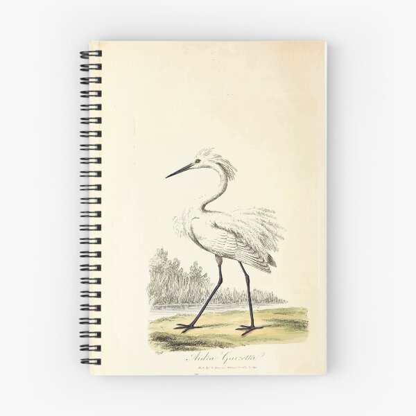 Item preview, British ornithology  being the history with a coloured representation of every known species of British birds George Graves 1821 080 designed and sold by WetdryvacRB01.