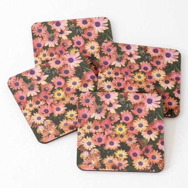 Item preview, African Daisy Bright Display designed and sold by Joy Watson - Natural Light Photography .