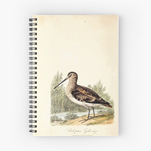 Item preview, British ornithology  being the history with a coloured representation of every known species of British birds George Graves 1821 081 designed and sold by WetdryvacRB01.