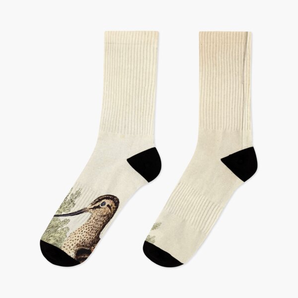 Item preview, British ornithology  being the history with a coloured representation of every known species of British birds George Graves 1821 081 designed and sold by WetdryvacRB01.