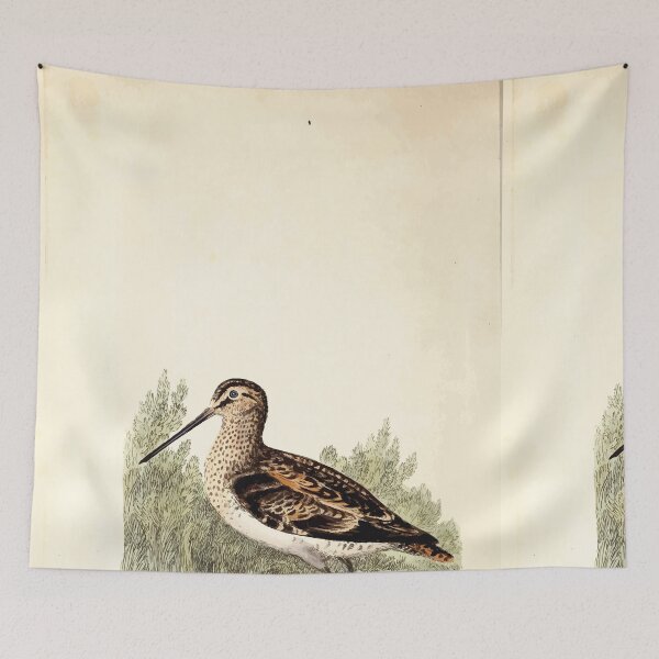 Item preview, British ornithology  being the history with a coloured representation of every known species of British birds George Graves 1821 081 designed and sold by WetdryvacRB01.