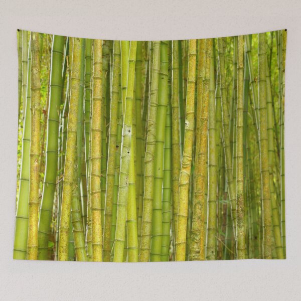 Item preview, Bamboo forest designed and sold by Gaspar Avila.