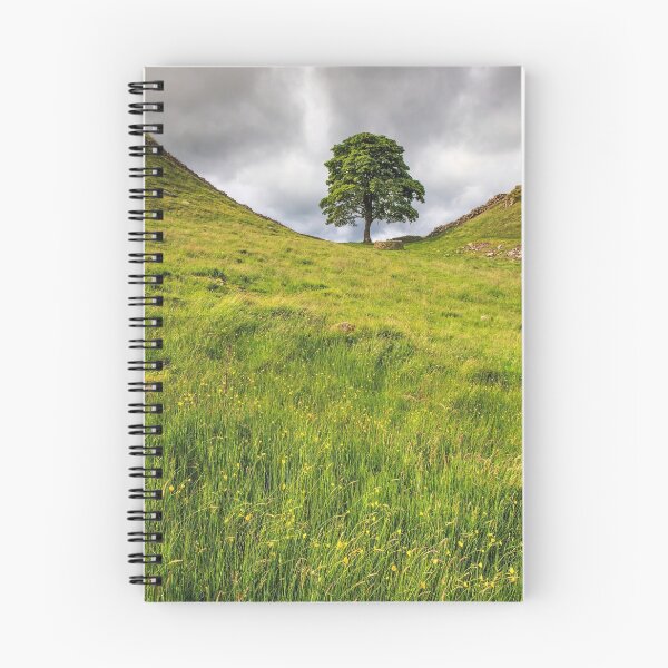 Item preview, Sycamore Gap designed and sold by bitm2007.