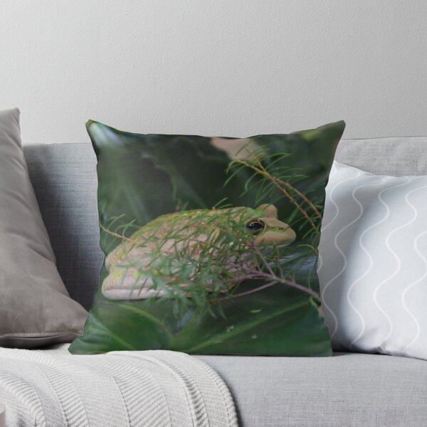Item preview, Mr Whitey, the Frog designed and sold by Sandra Albin.