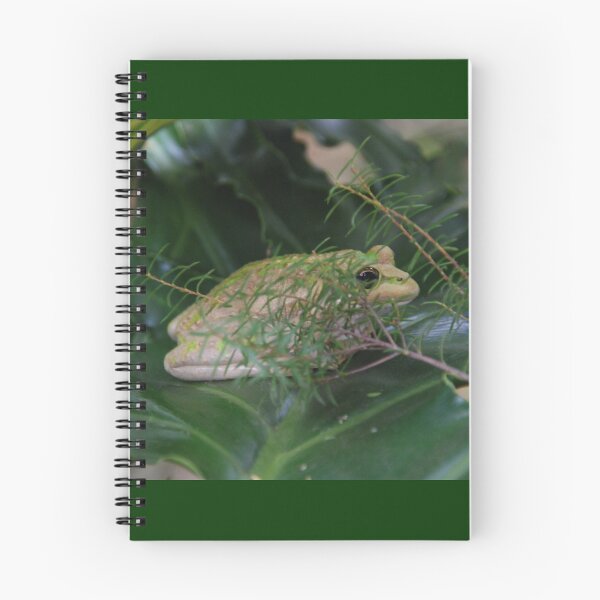 Item preview, Mr Whitey, the Frog designed and sold by Sandra Albin.