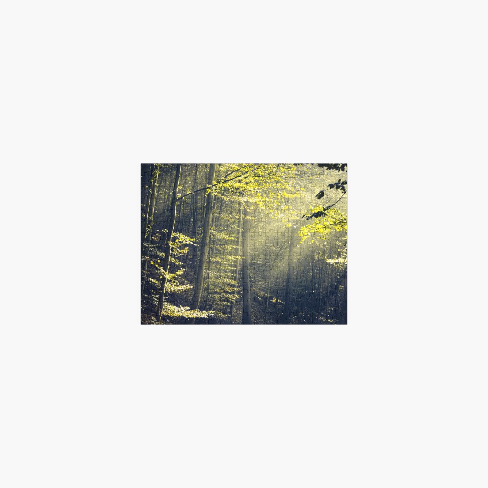 Being There - Morning Light in Forest Jigsaw Puzzle