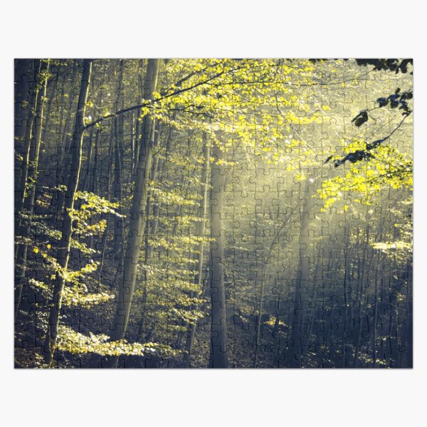 Artikel-Vorschau von Da sein - Morgenlicht im Wald, designt und verkauft von Dyrk Wyst Redbubble Shop.