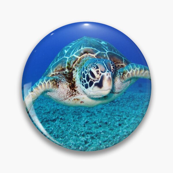 Item preview, Turtle underwater designed and sold by Apoorv Choudhary.