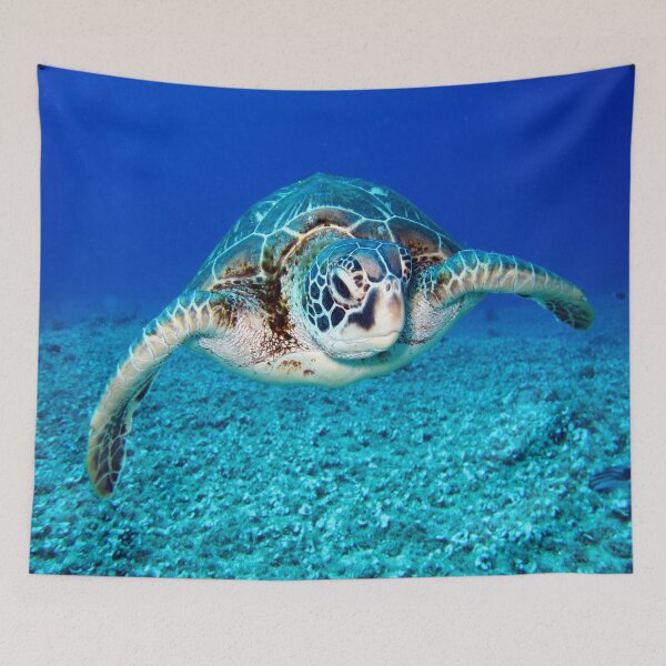 Item preview, Turtle underwater designed and sold by Apoorv Choudhary.