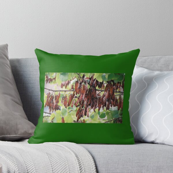 Item preview, Seed Pods & Leaves, Matera, Italy designed and sold by Sandra Albin.