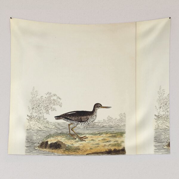 Item preview, British ornithology  being the history with a coloured representation of every known species of British birds George Graves 1821 083 designed and sold by WetdryvacRB01.