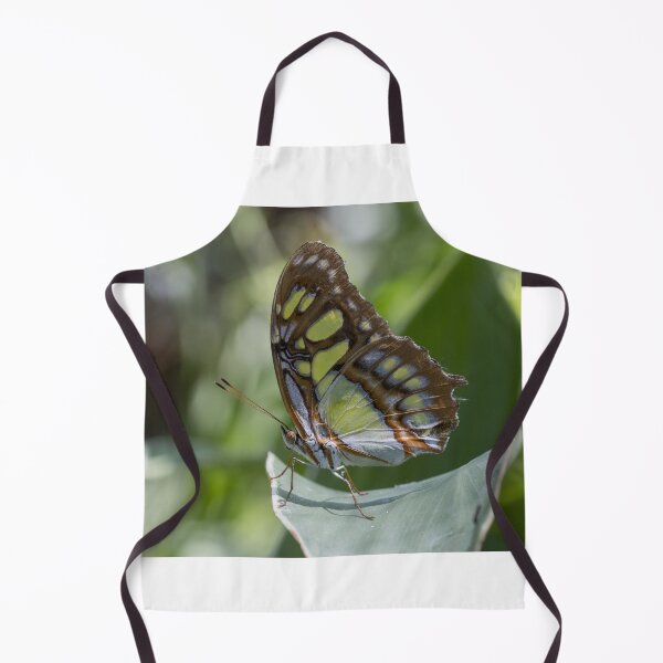 Item preview, Malachite butterfly designed and sold by pietrofoto.