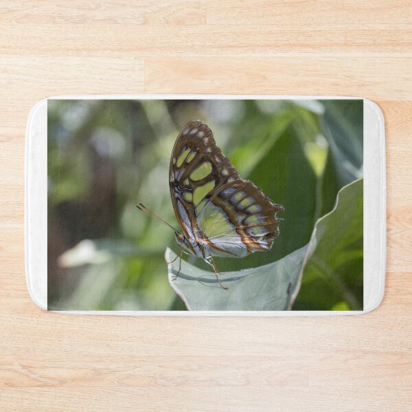 Item preview, Malachite butterfly designed and sold by pietrofoto.