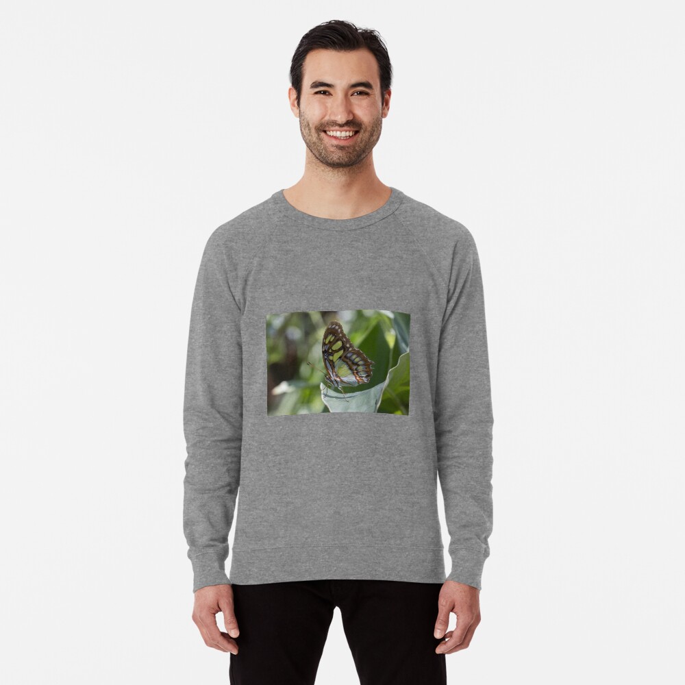 Item preview, Lightweight Sweatshirt designed and sold by pietrofoto.