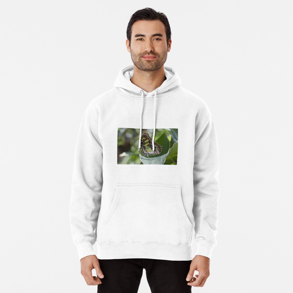 Item preview, Pullover Hoodie designed and sold by pietrofoto.