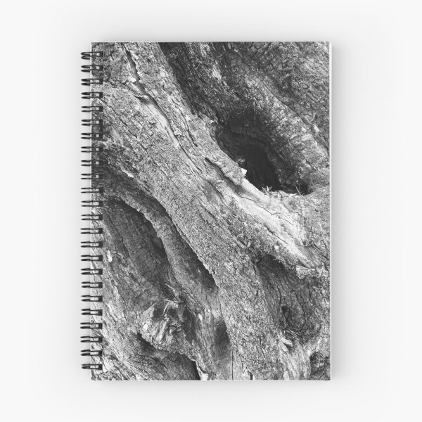 Item preview, Olive tree trunk, Lefkada, monochrome designed and sold by paulboizot.