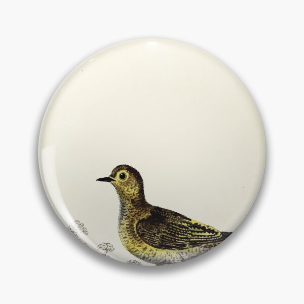 Item preview, British ornithology  being the history with a coloured representation of every known species of British birds George Graves 1821 084 designed and sold by WetdryvacRB01.