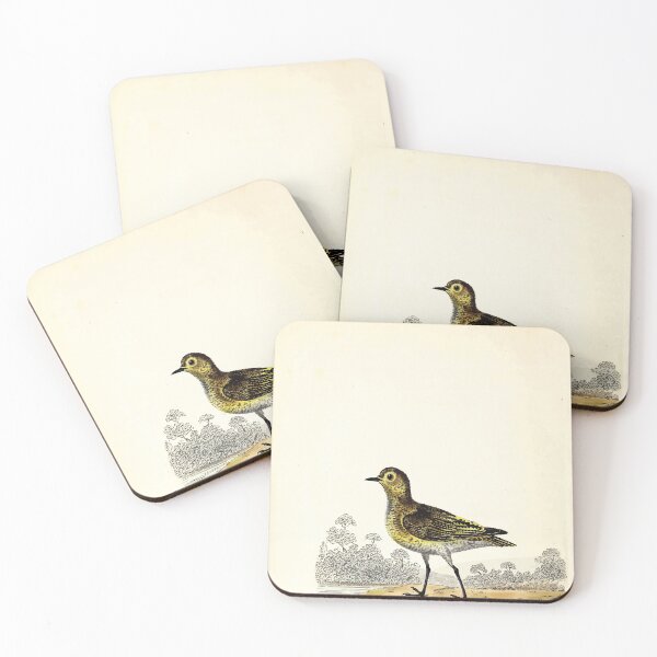 Item preview, British ornithology  being the history with a coloured representation of every known species of British birds George Graves 1821 084 designed and sold by WetdryvacRB01.
