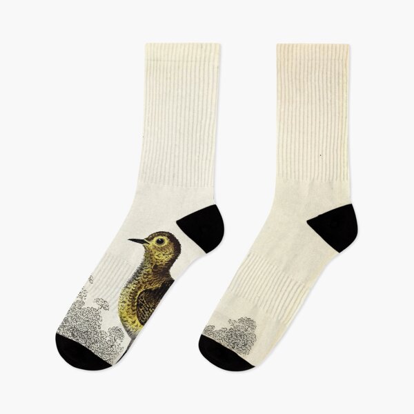 Item preview, British ornithology  being the history with a coloured representation of every known species of British birds George Graves 1821 084 designed and sold by WetdryvacRB01.