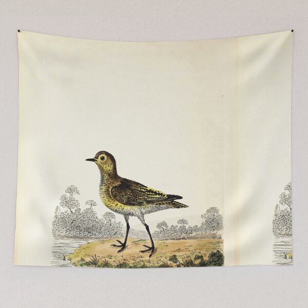 Item preview, British ornithology  being the history with a coloured representation of every known species of British birds George Graves 1821 084 designed and sold by WetdryvacRB01.