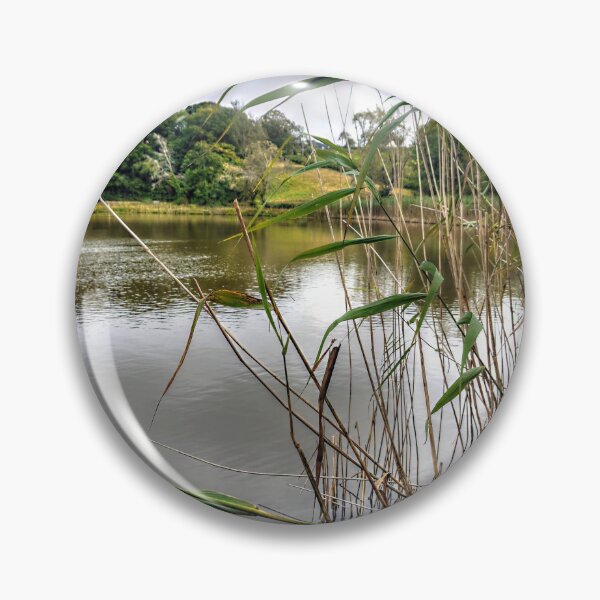 Item preview, Reeds designed and sold by SteveHoltPhoto.