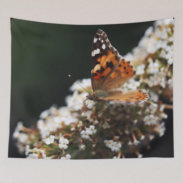 Item preview, Painted Lady Butterfly sitting on a Butterfly-bush designed and sold by KimVanG.