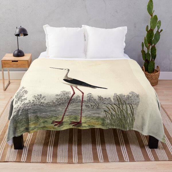 Item preview, British ornithology  being the history with a coloured representation of every known species of British birds George Graves 1821 085 designed and sold by WetdryvacRB01.