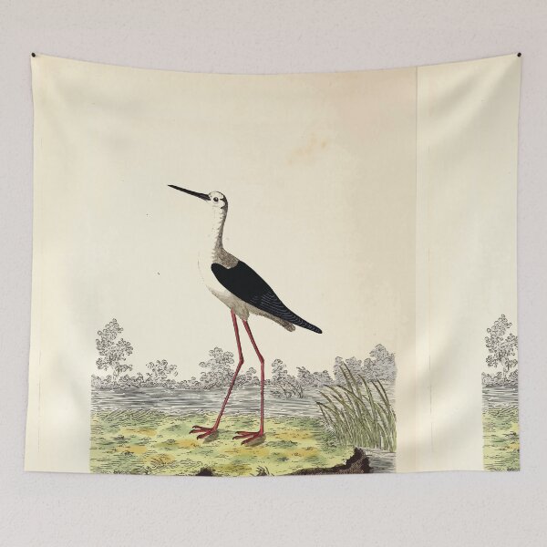 Item preview, British ornithology  being the history with a coloured representation of every known species of British birds George Graves 1821 085 designed and sold by WetdryvacRB01.