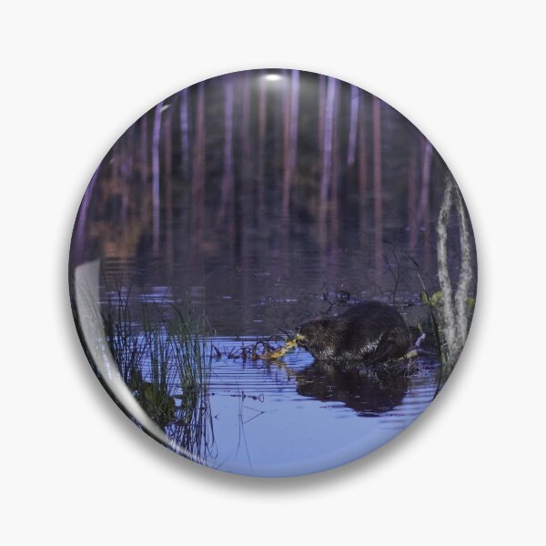 Item preview, Beaver nightshot designed and sold by Jouko Lehto Photography.