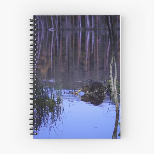 Item preview, Beaver nightshot designed and sold by Jouko Lehto Photography.