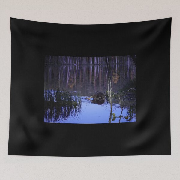 Item preview, Beaver nightshot designed and sold by Jouko Lehto Photography.