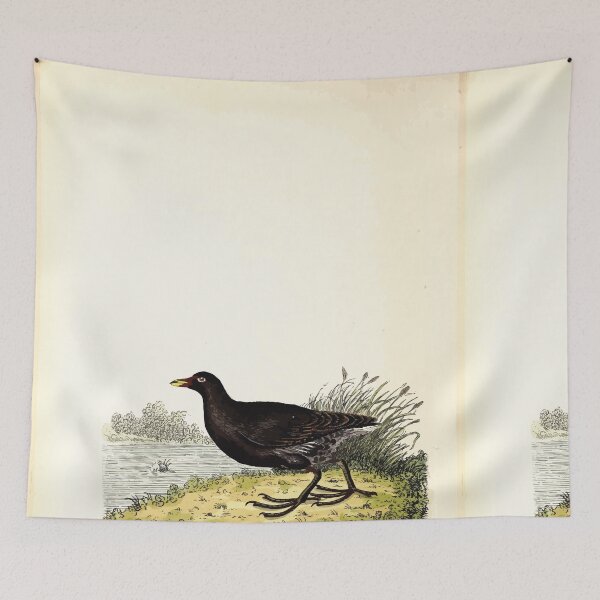 Item preview, British ornithology  being the history with a coloured representation of every known species of British birds George Graves 1821 086 designed and sold by WetdryvacRB01.