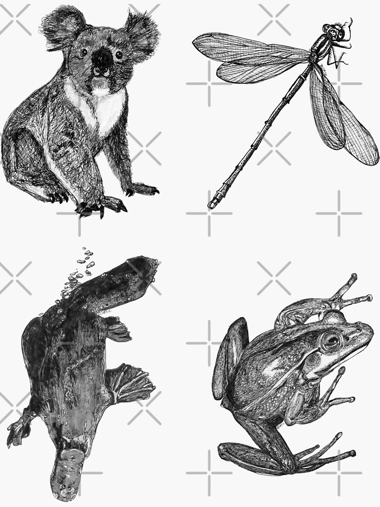 Land 3- Platypus, Koala, Frog and Dragonfly x 4 by Wildcard-Sue