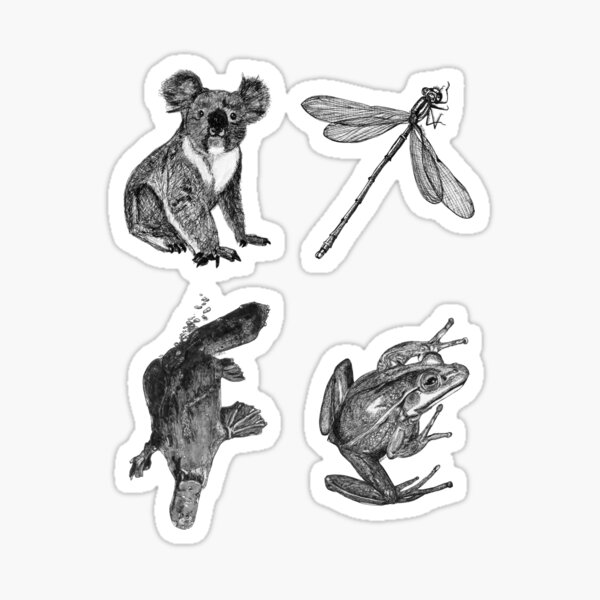 Land 3- Platypus, Koala, Frog and Dragonfly x 4 Sticker