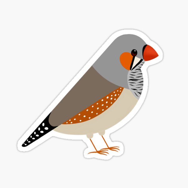 Artikel-Vorschau von Minimale Zebrafinken-Illustration, designt und verkauft von Milanicole.