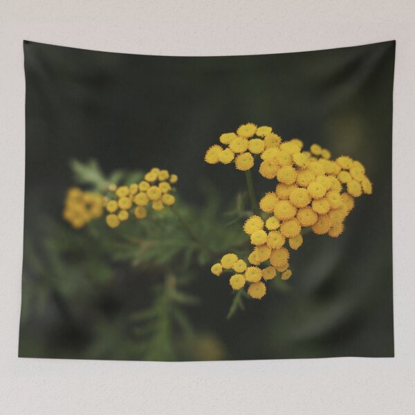 Item preview, Blooming Yellow Tansy designed and sold by KimVanG.