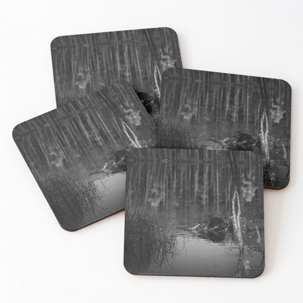 Item preview, Beaver nightshot bw designed and sold by Jouko Lehto Photography.