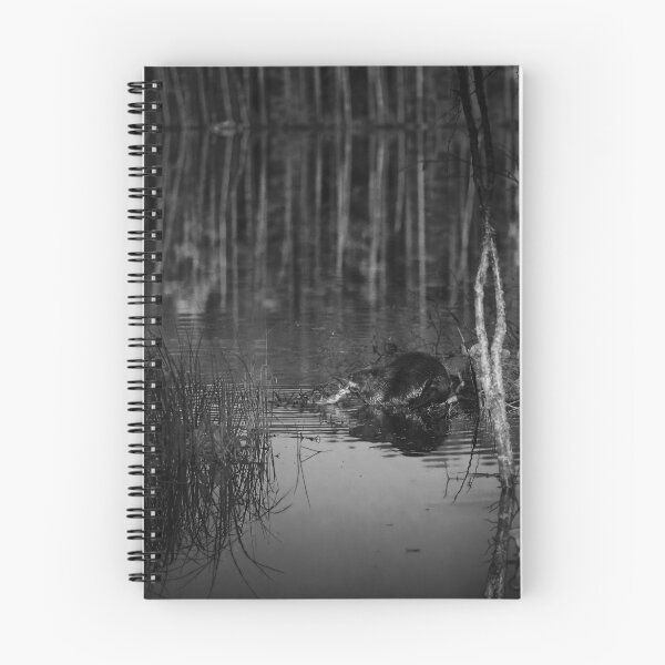 Item preview, Beaver nightshot bw designed and sold by Jouko Lehto Photography.