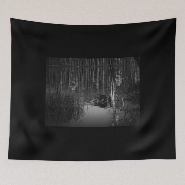 Item preview, Beaver nightshot bw designed and sold by Jouko Lehto Photography.