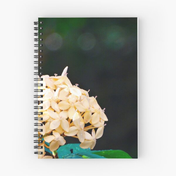 Item preview, Collected Blooms designed and sold by CreatiVentures.