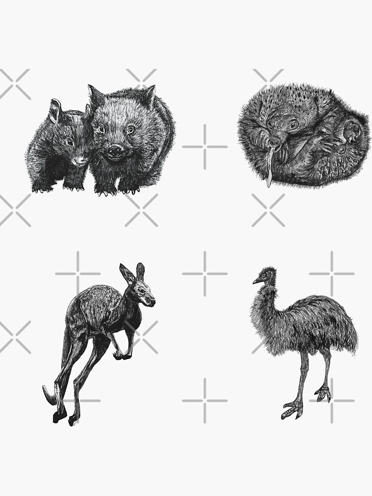 Land 4 - Wombat, Echidna, Kangaroo and Emu x 4 by Wildcard-Sue