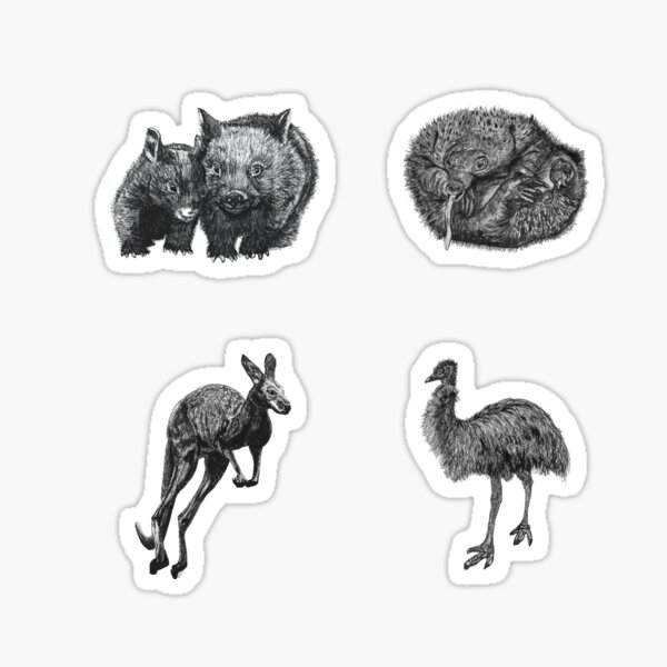 Land 4 - Wombat, Echidna, Kangaroo and Emu x 4 Sticker