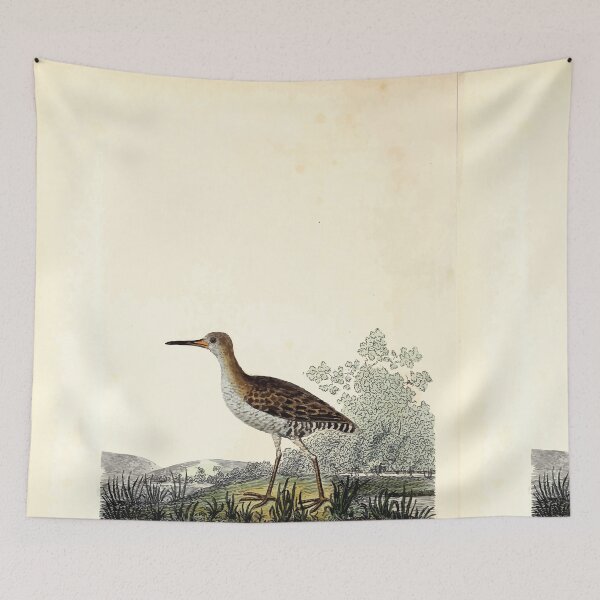 Item preview, British ornithology  being the history with a coloured representation of every known species of British birds George Graves 1821 087 designed and sold by WetdryvacRB01.