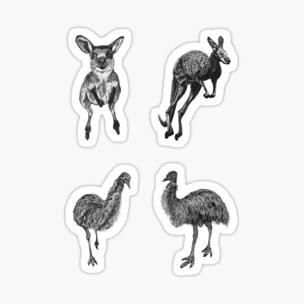 Land 5 - Kangaroos and Emus x 4 Sticker