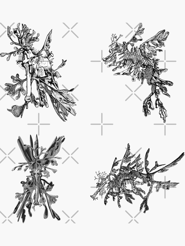 Sea 3 -Leafy Sea Dragons x 4 by Wildcard-Sue