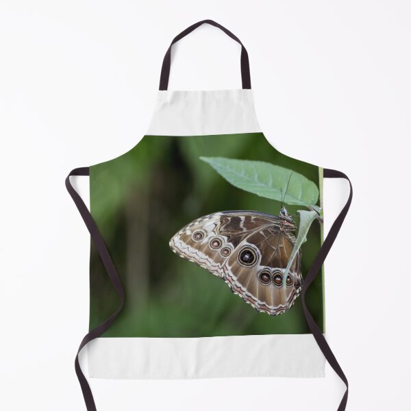 Item preview, Morpho peleides designed and sold by pietrofoto.